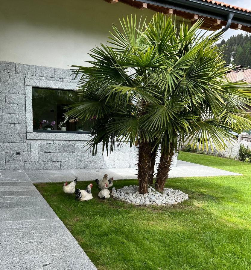 Casa Il Sasso Frühstückspension